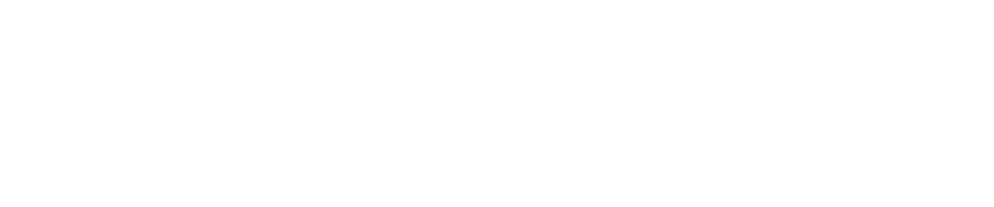 Panora Precision